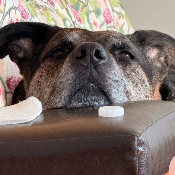 SPOT :) - Picture 2 of 5